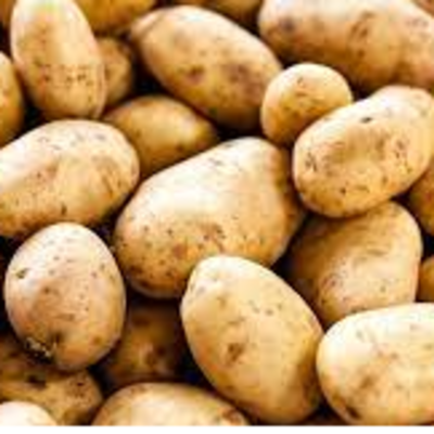 resources of Potato exporters