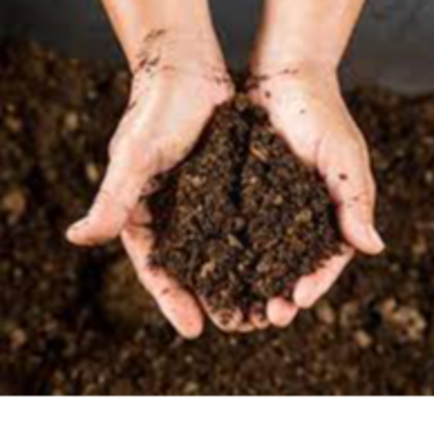 resources of ORGANIC MANURE exporters