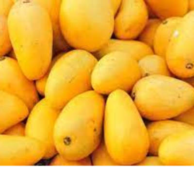 resources of Mangoes fresh exporters
