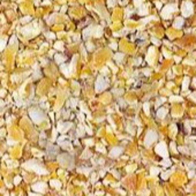 resources of Crushed corn for animal feed exporters