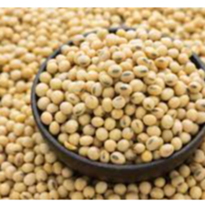 resources of GMO soyabean exporters