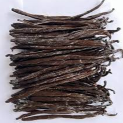 resources of B grade Vanilla  bean exporters