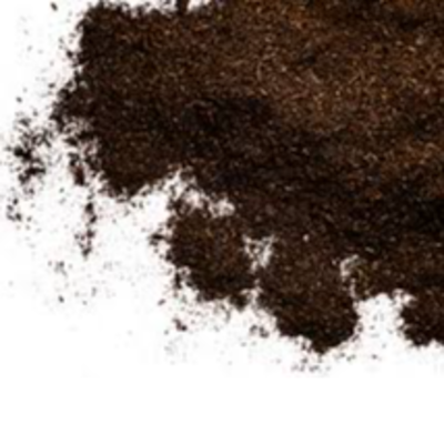 resources of Ground Vanilla  bean exporters