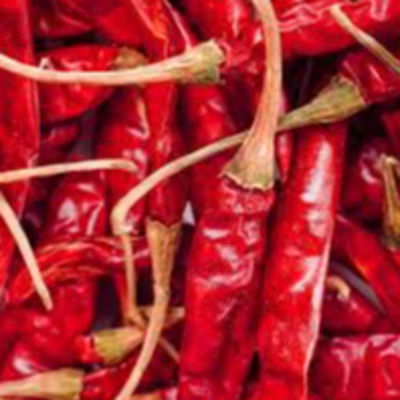resources of Dry Whole red chilly exporters