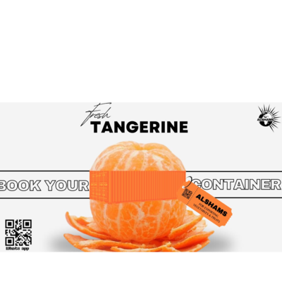 resources of Tangerine exporters