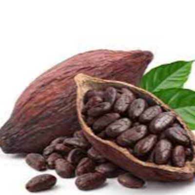 resources of Cocoa bean exporters