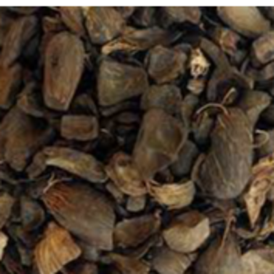 resources of Palm kernel shell/ Oil exporters