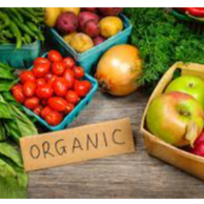 resources of Organic  products exporters