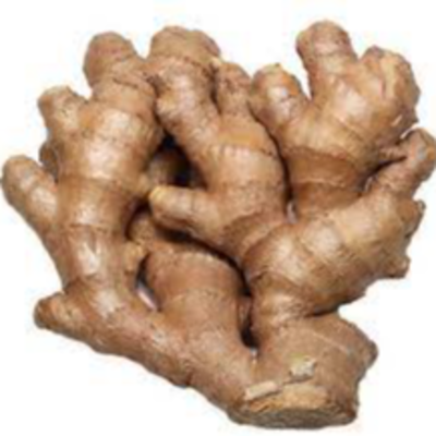resources of FRESH GINGER exporters