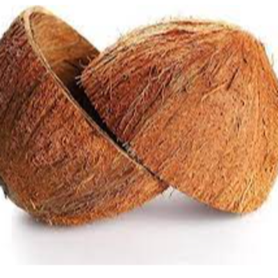resources of COCONUT SHELL exporters
