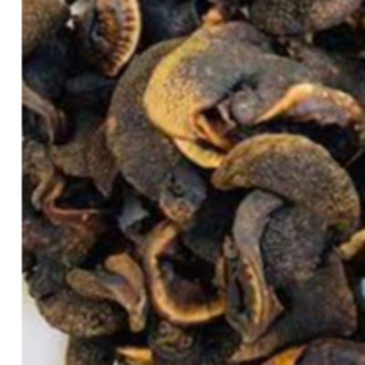 resources of Dried Snail exporters