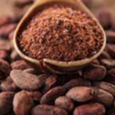 resources of Cocoa exporters