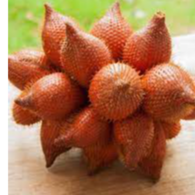 resources of sallaca fruit (salak) from tropical fruit exporters