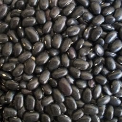 resources of BLACK KIDNEY BEANS exporters