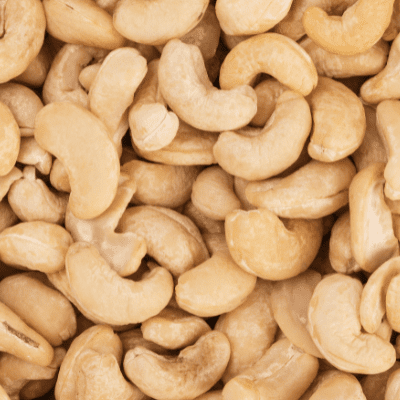 resources of Cashew Nuts WW450 W180/ W320/ W240 exporters