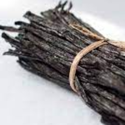 resources of HIGH QUALITY VANILLA BEANS exporters