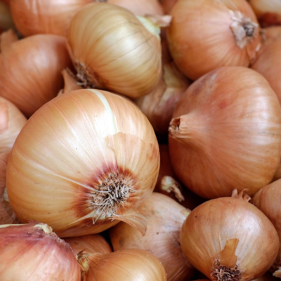 resources of Fresh yellow onion/brown onion non peeled onion exporters