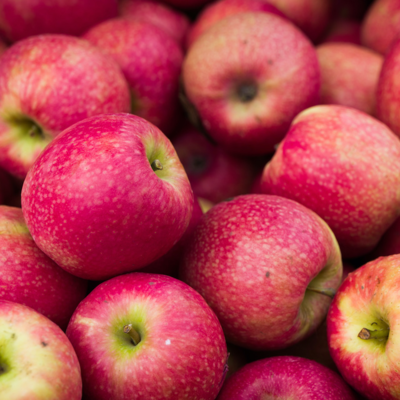 resources of Fresh Gala Apples/Red Apple/Fuji Apple exporters