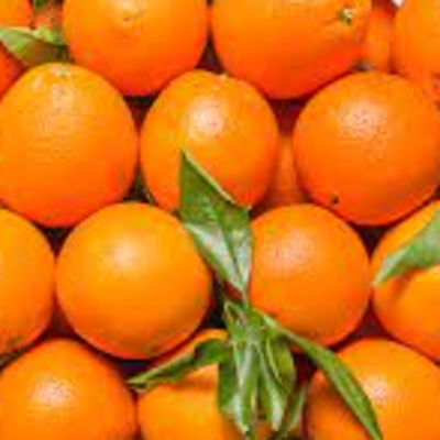 resources of Sweet Fresh mandarin orange/Fresh Orange, Naval Orange, Valencia Oranges exporters