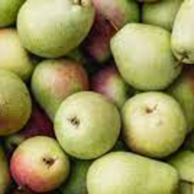 resources of new crop fresh pear /grown pear /Fresh ya pear exporters