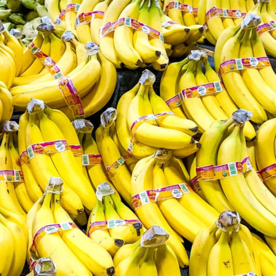 resources of Green/Ripe Cavendish banana exporters