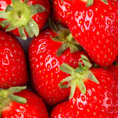 resources of fresh strawberry exporters