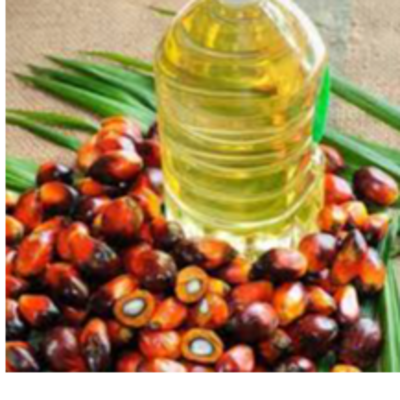 resources of RAFINED PALM OIL exporters