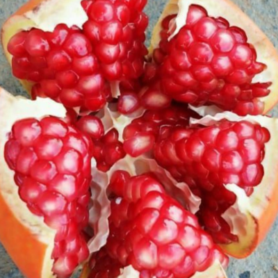 resources of Pomegrante exporters