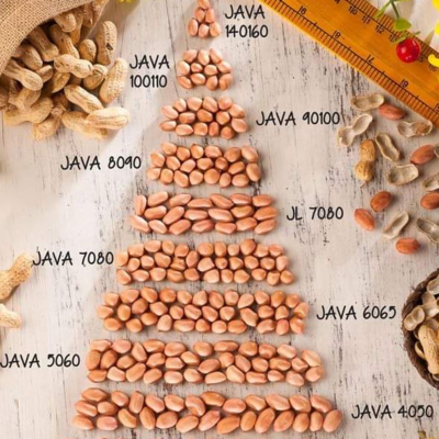 resources of Groundnut exporters