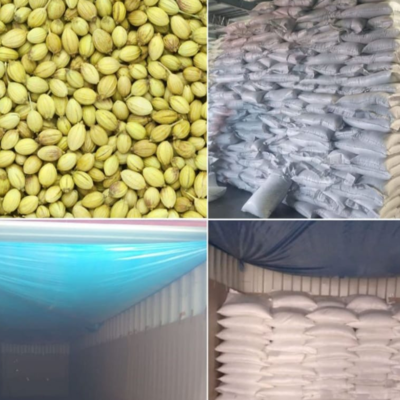 resources of Sesame seed exporters