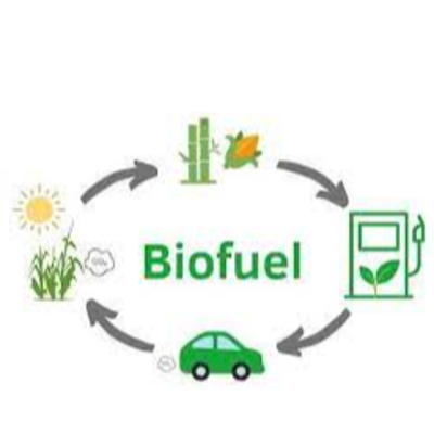 resources of Biofuels exporters