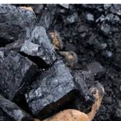 resources of Coal z& Charcoal exporters