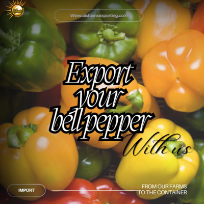 resources of Bell pepper exporters