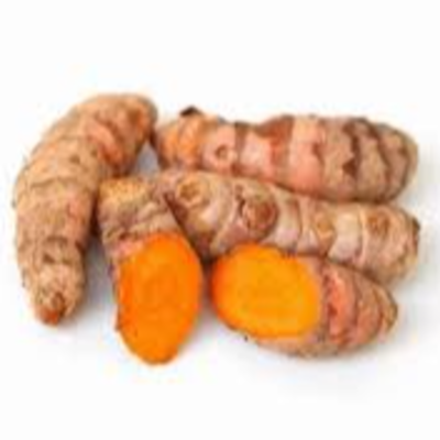 resources of Organic Turmeric Root exporters