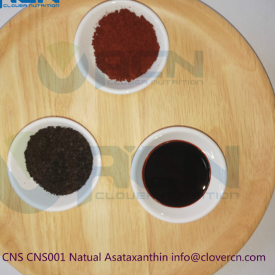 resources of Natural Astaxanthin Oil 5% (Haematococcuspluvialis) exporters