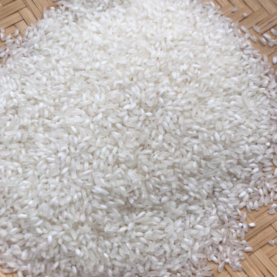 resources of Biggest Distributor of Japonica Rice Short Grain Round Calrose Rice Sushi Japan Rice Camolino Cheap Price Export Packing 25kg exporters