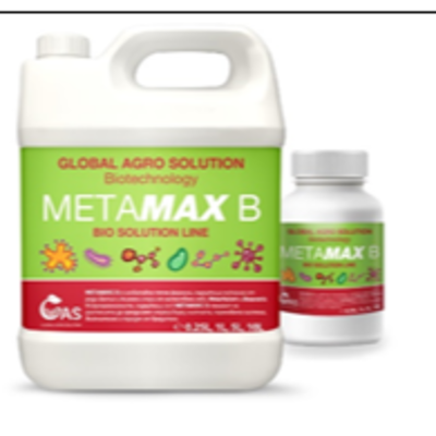 resources of METAMAX B is a highly effective ORGANIC FERTILIZER WITH INSECTICIDAL FUNGI exporters