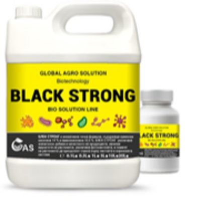 resources of BLACK STRONG exporters