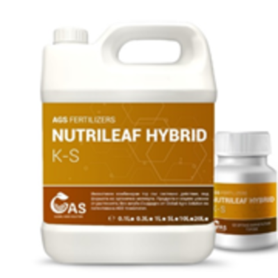 resources of NUTRILEAF HYBRID K+S exporters