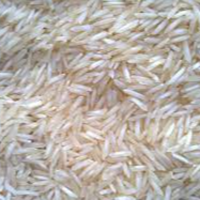 resources of steam 1121 rice exporters