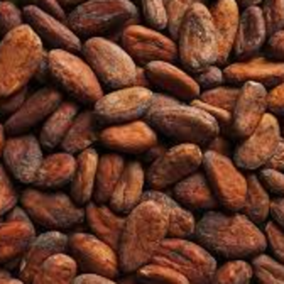resources of cocoa exporters