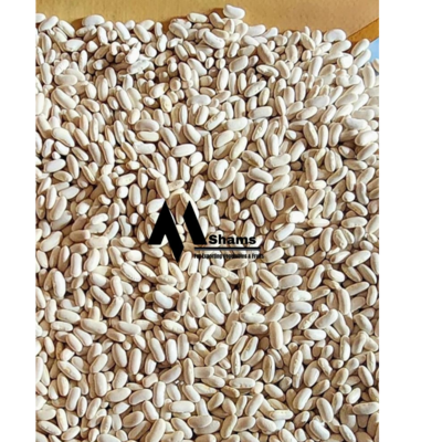 resources of white beans exporters
