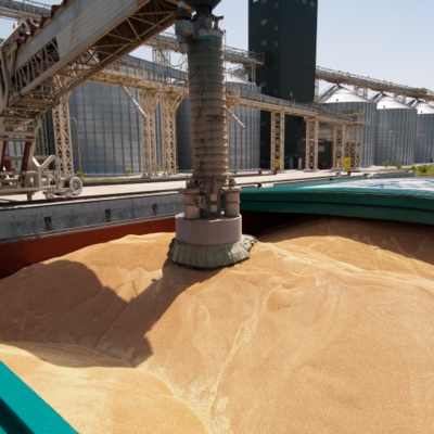 resources of Export of wheat, barley, corn grain from Russia. exporters