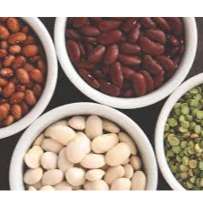 resources of Beans exporters
