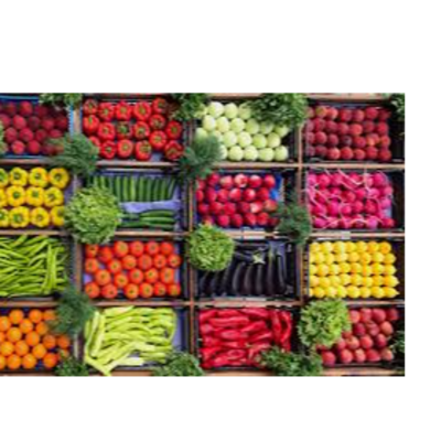 resources of organic fruits and vegetable exporters