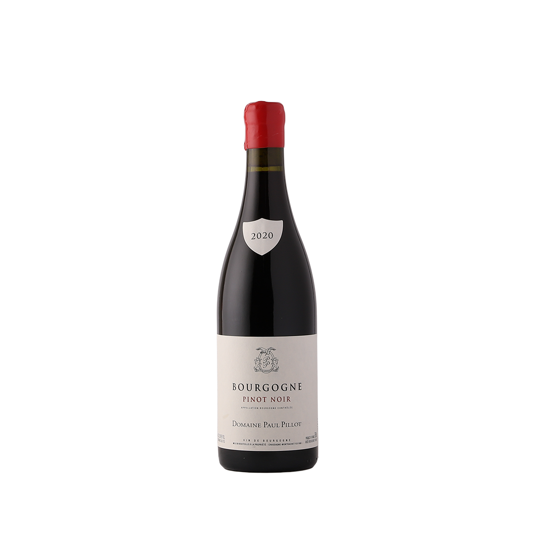 ワイン Domaine Paul Pillot Bourgogne 2022 Domaine Paul Pillot, Bourgogne Chardonnay, Burgundy