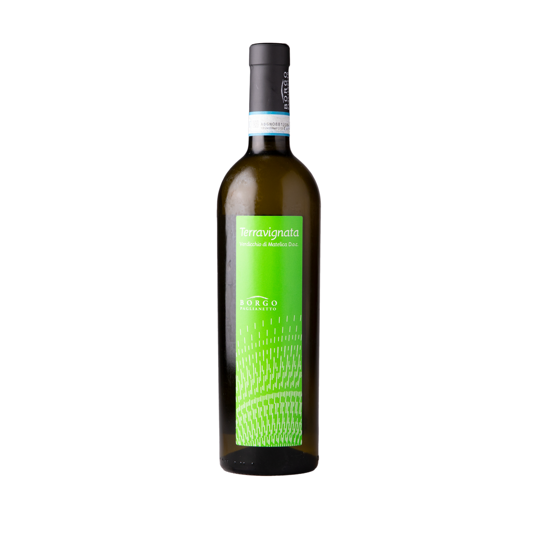 orgo Paglianetto Verdicchio di Matelica Terravignata 2023