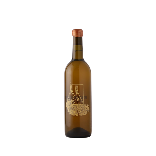 Fin Wines x El'More Cool Water 2022