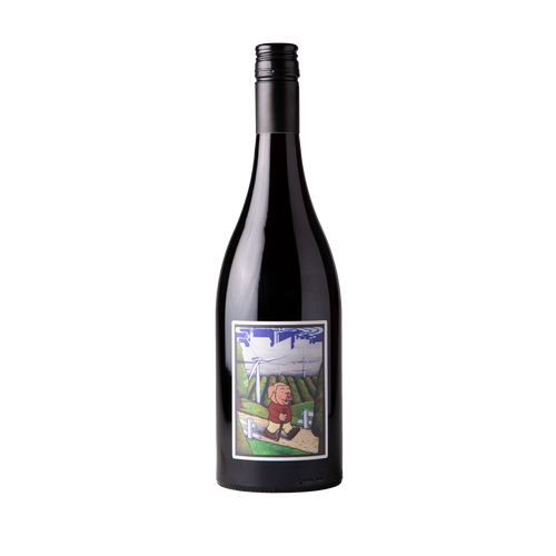 GUM Syrah 2024