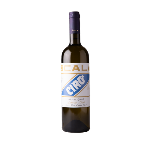 Antonio Scala Ciro Bianco 2023